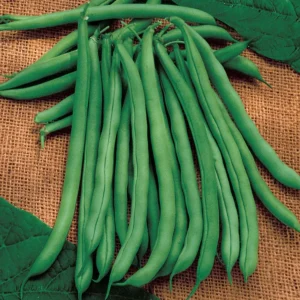 blue lake superior Blue Lake Superior